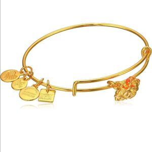 Alex & Ani Hermit Crab Dangle Bracelet NEW